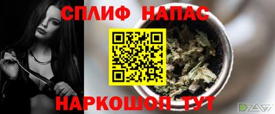 Альфа ПВП Можга