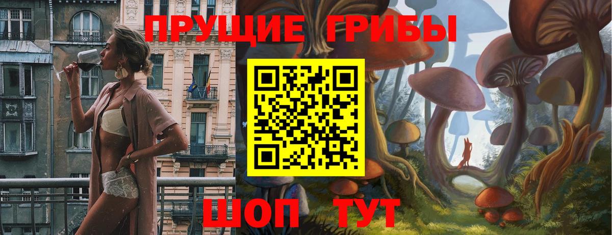Тулун  Галлюциногенные грибы ЛСД  Вход с VPN  Псилоцибиновые грибы GOLDEN TEACHER 